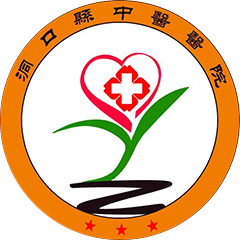 洞口县中医院